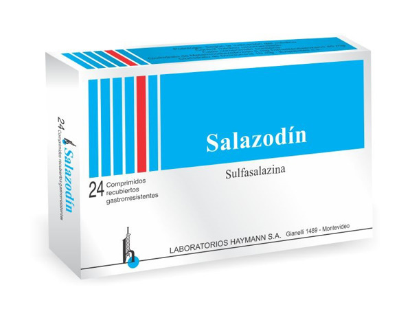 Imagen de SALAZODIN 500 mg [24 comp.]