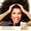 Imagen de PANTENE SH. BIOTINAMINA ANTI CAIDA [510 ml]
