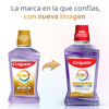 Imagen de COLGATE ENJUAGUE TOTAL 12 ANTI SARRO [500 ml]