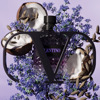 Imagen de VALENTINO BORN IN ROMA PURPLE UOMO EDP [100 ml]
